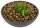 DERA CROC Lachs & Kartoffel (Welpe)